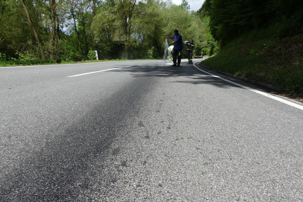 03.06.2016 | Schadstoffeinsatz