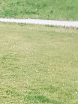 IMG 20190319 WA0009