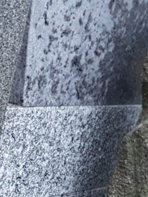 IMG 20190319 WA0010