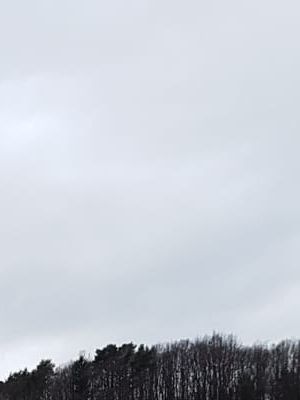 IMG 20190319 WA0012