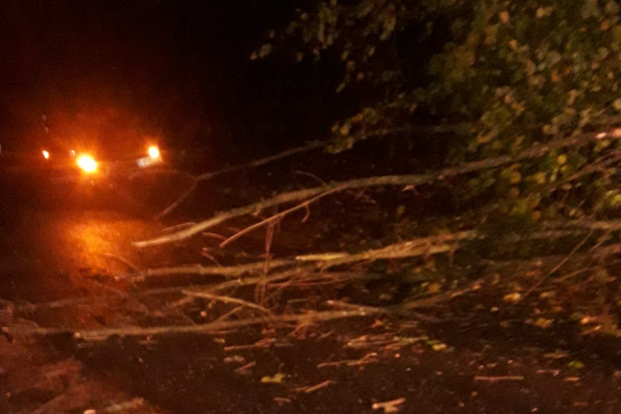 08.11.2019 | Baum über Straße