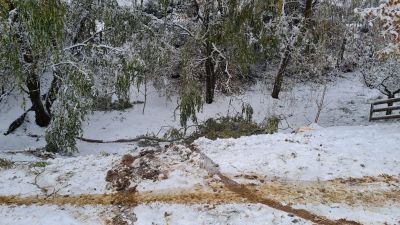 IMG 20231202 WA0048