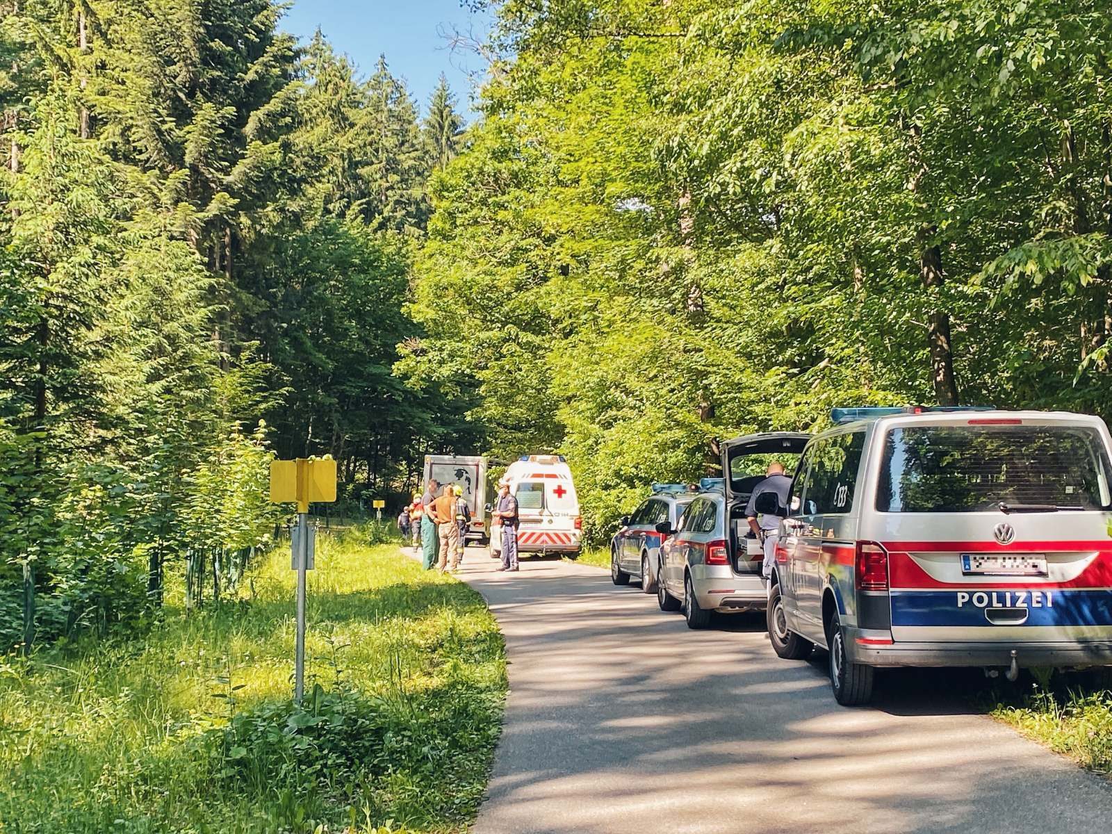 PKW frontal gegen Viehtransporter