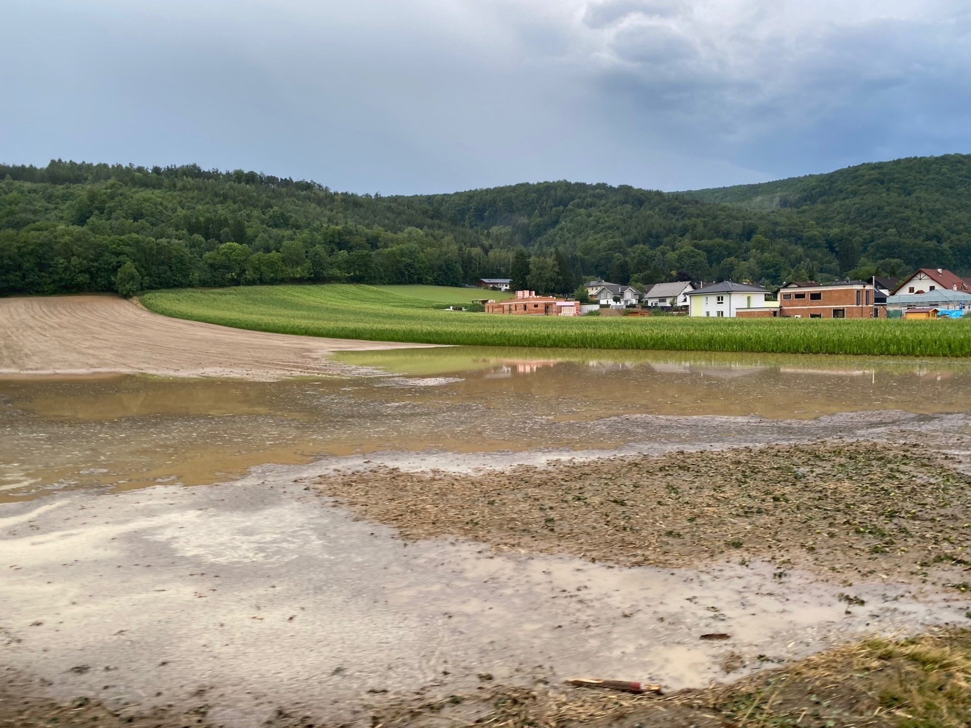 Unwettereinsatz in Seebenstein